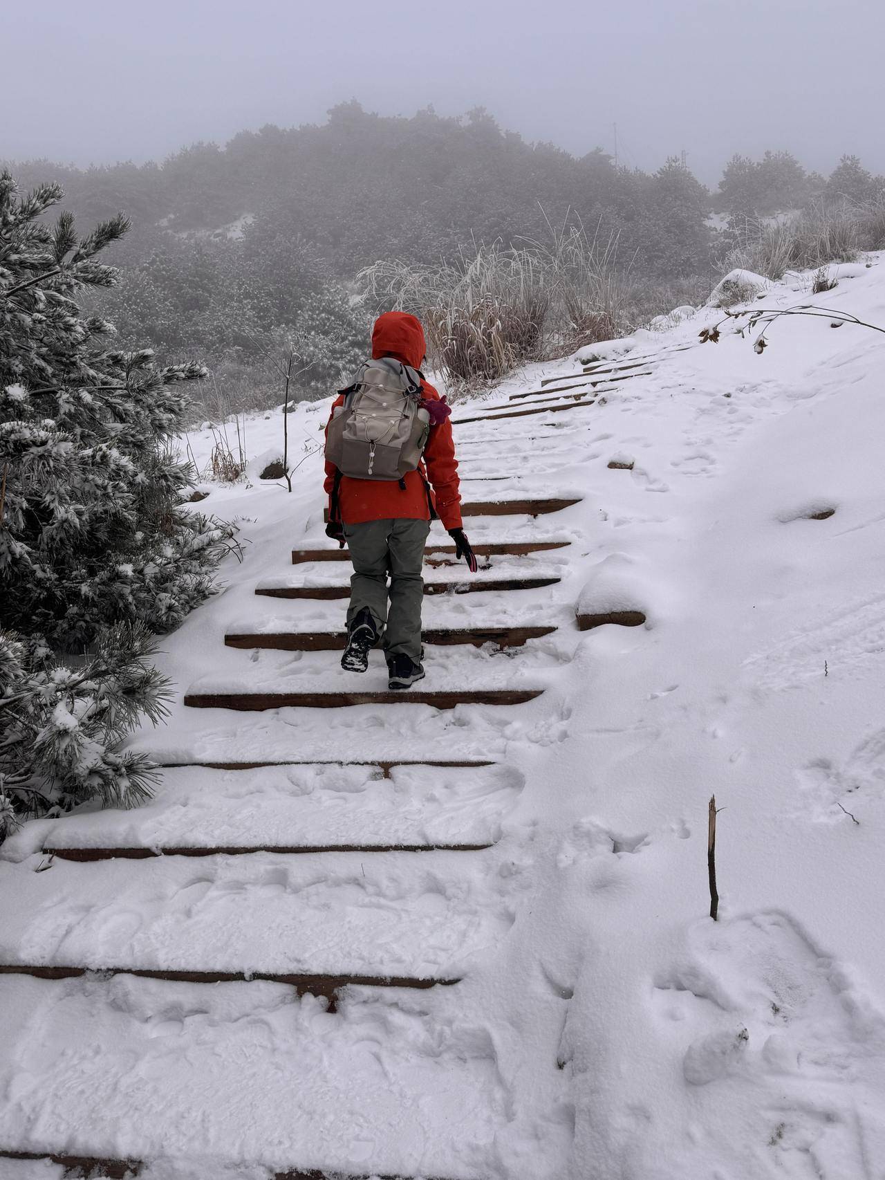 刚刚西湖边飘雪子了？浙江多地下雪，第一波赏雪大军已到达