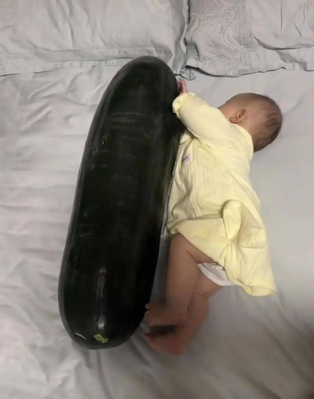 男子在深圳购买28斤重冬瓜带回香港，给3个月大的女儿当避暑玩具