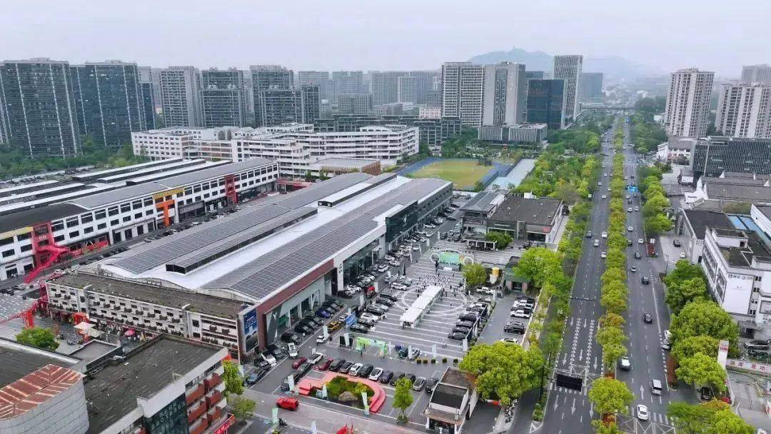 省委书记为啥去看“浙BA”场馆