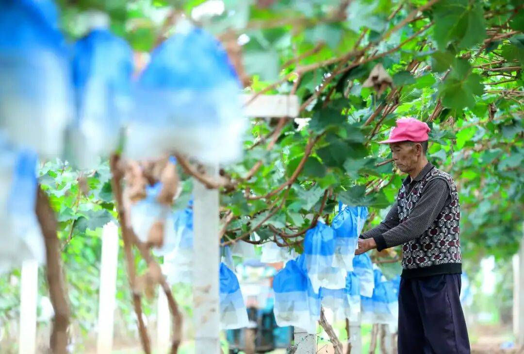 “双节”假期，青岛地铁运营有调整！