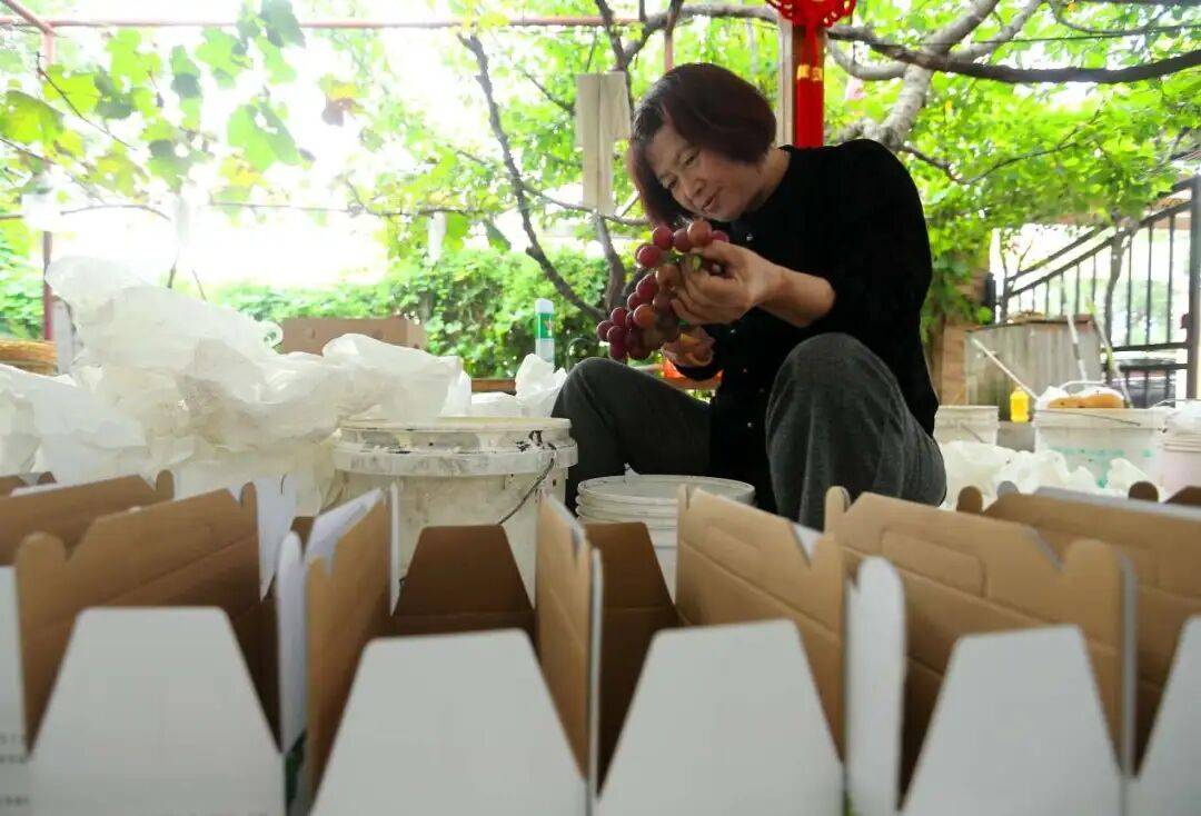 “双节”假期，青岛地铁运营有调整！