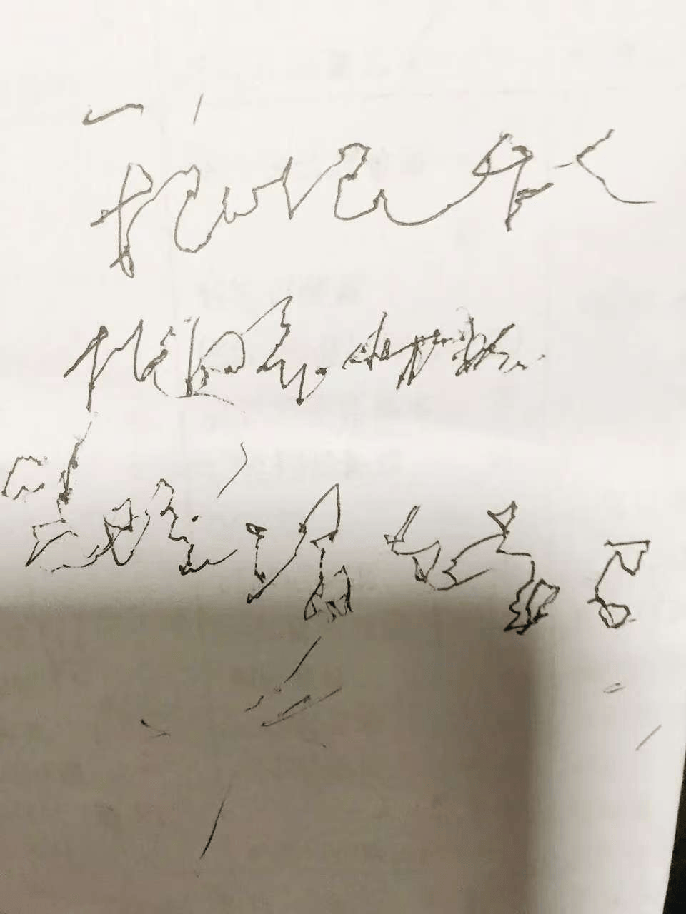 “这是奶奶去世前一周写的字，想请朋友们帮忙辨认一下……”