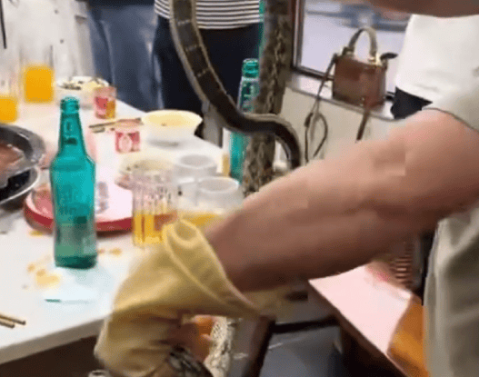 火锅店内突然窜出1.5米长大蛇，直爬食客脚面，引发全场尖叫，店主称已捉住放生