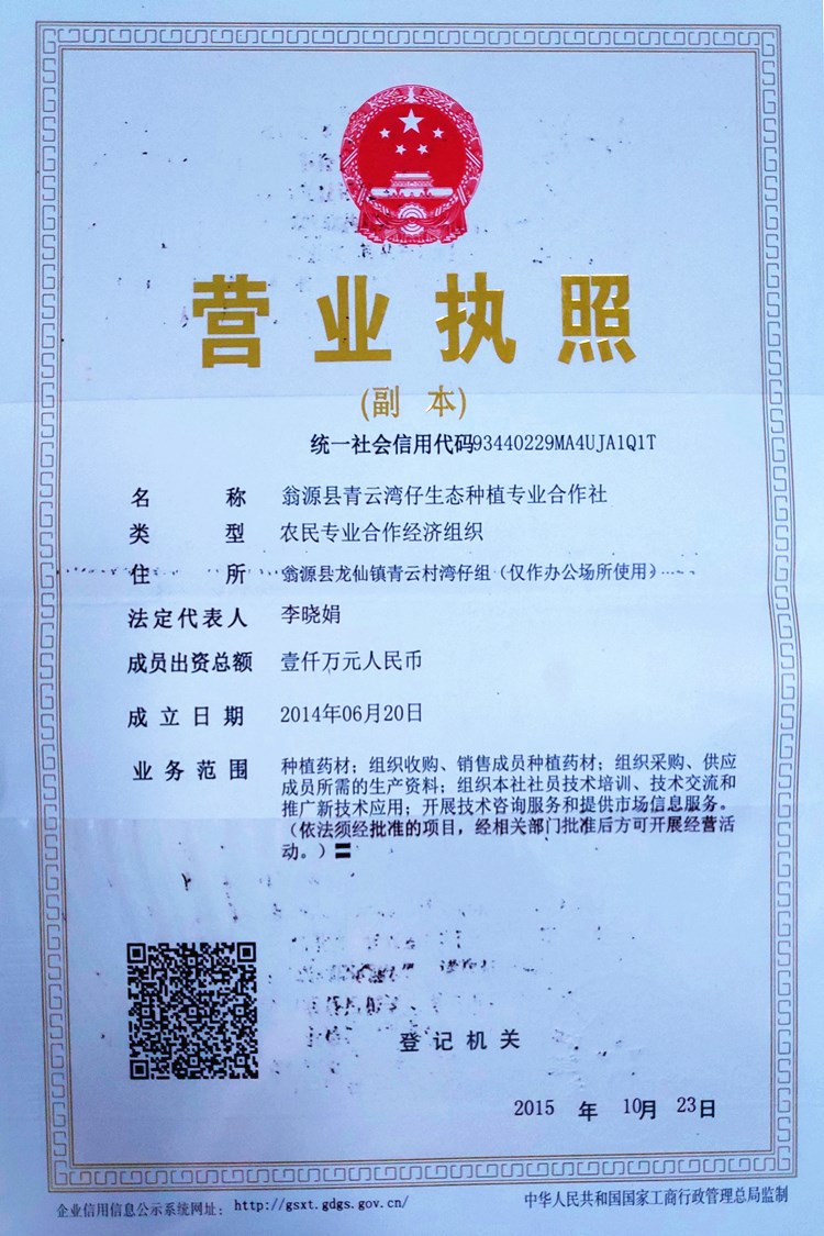 韶关交易中心服务平台(韶关交易中心服务平台app)