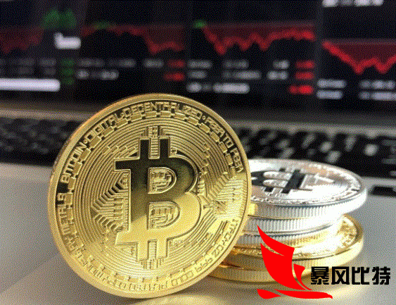 盈币(盈币是什么东西)
