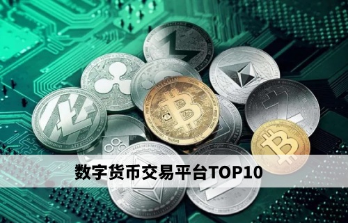币交易所排行(前50名交易所币圈的交易所)