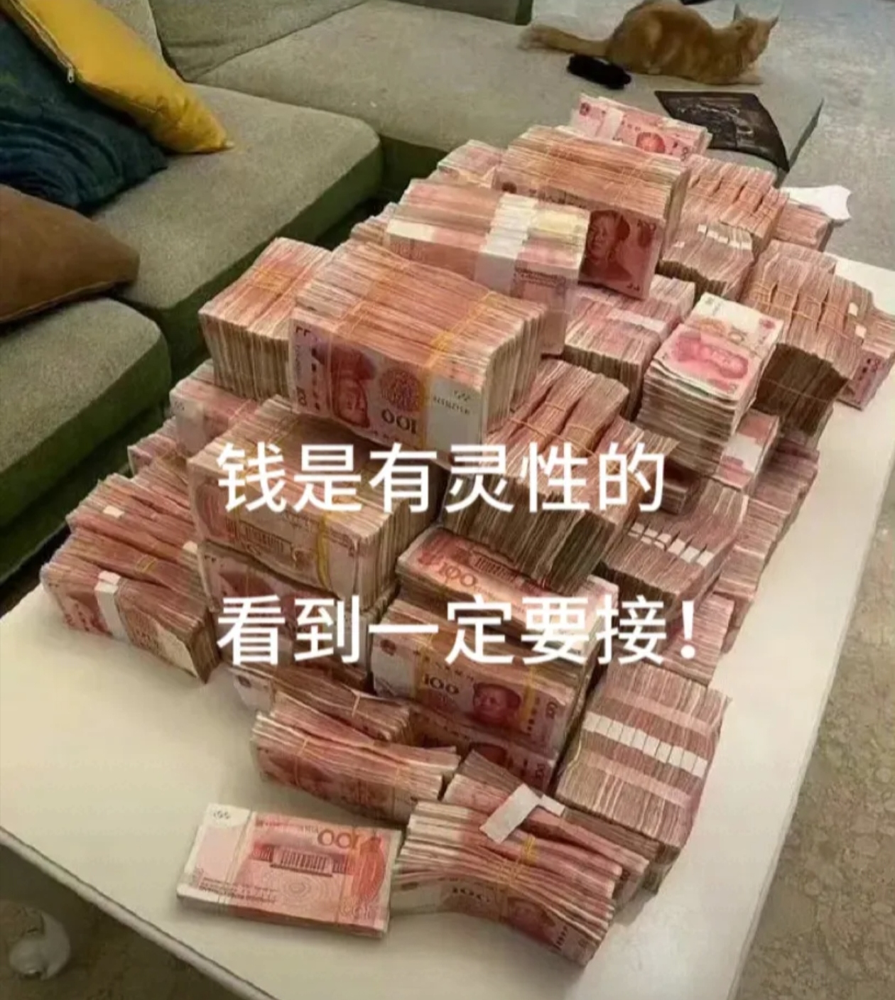 币圈搞笑图(币圈段子搞笑对话图)