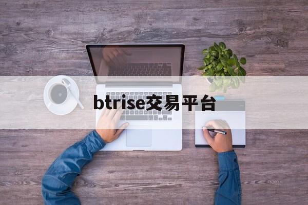 btrise交易平台(btnex交易平台)