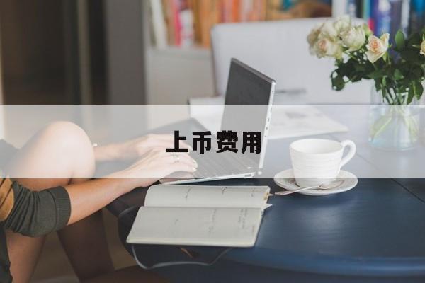 上币费用(上币费 交易所)